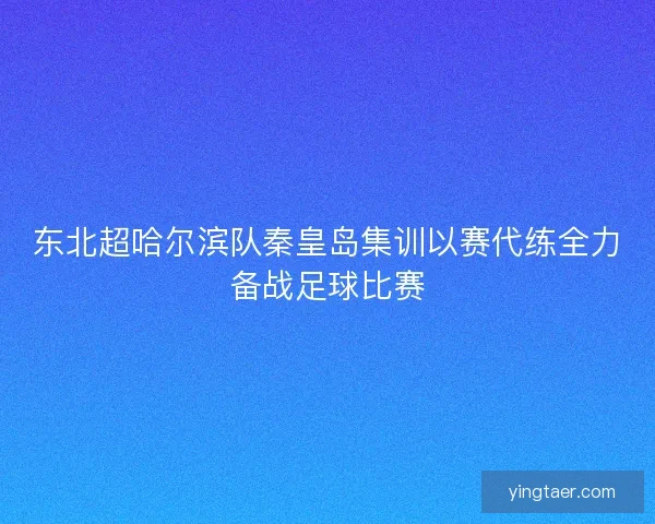 东北超哈尔滨队秦皇岛集训以赛代练全力备战足球比赛 东北超哈尔滨队秦皇岛集训以赛代练全力备战足球比赛